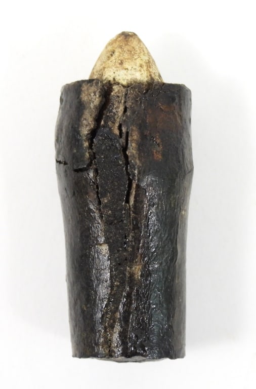 Smith Carbine Rubber Case Cartridge - 3