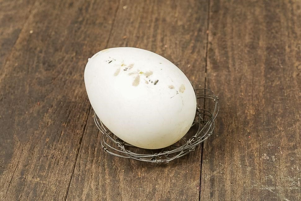 Decorative Ceramic Egg in Wire Basket (1 of 4)