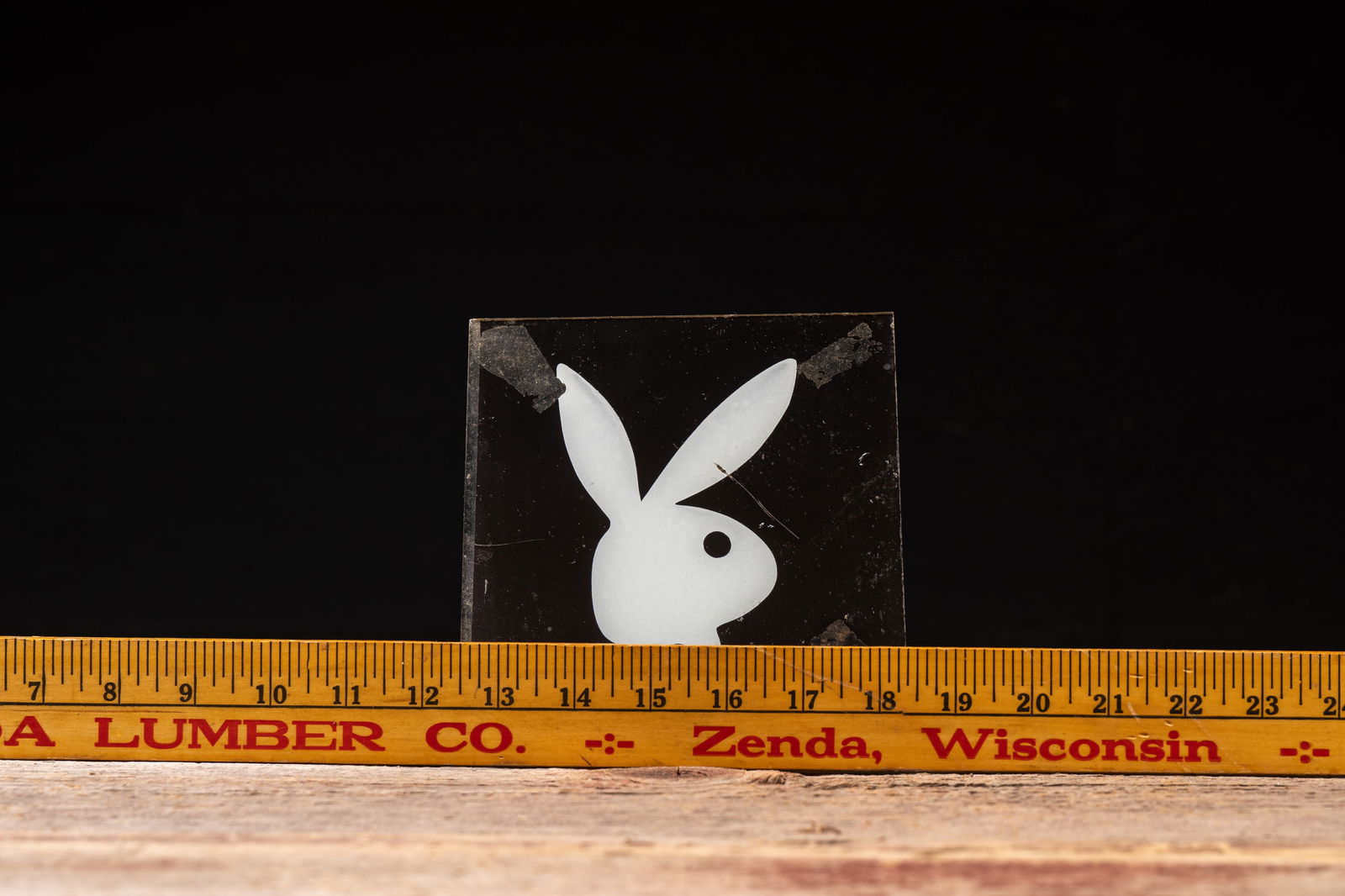 Glass Playboy Bunny Panel - 4