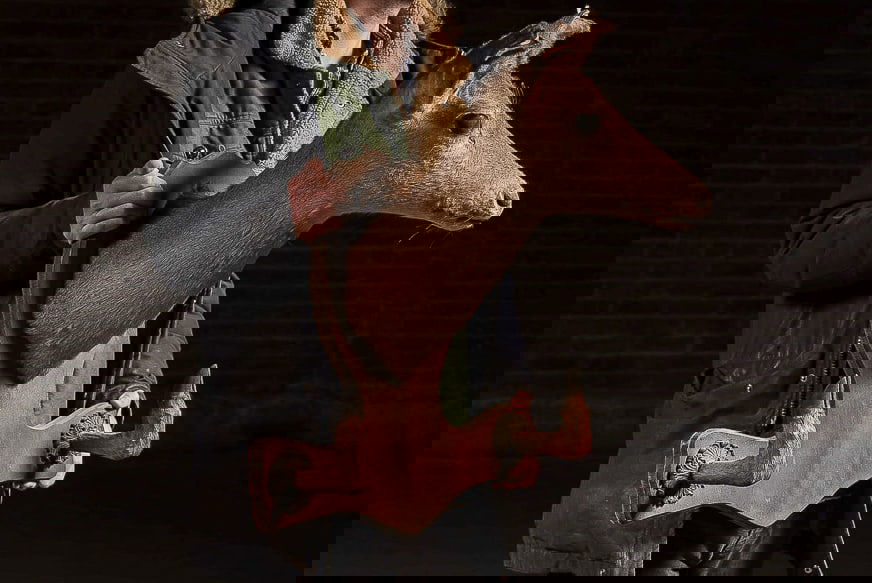 Deer Mount Wall Rack - 2