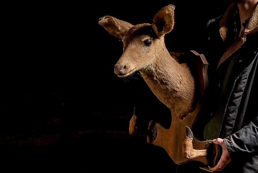 Deer Mount Wall Rack - 3