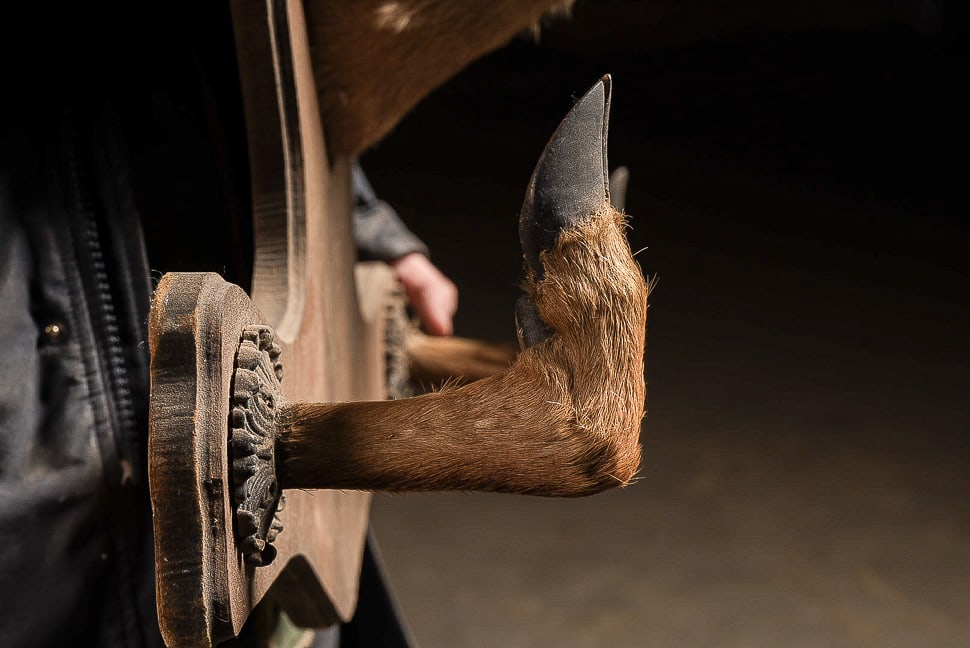 Deer Mount Wall Rack - 6