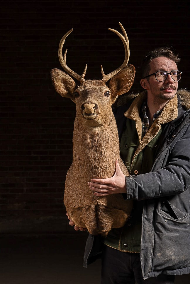 Taxidermy Deer Shoulder Mount: **NOTE: Any shipping quotes provided on this screen are provided by Live Auctioneers. For an in-house shipping quote on this lot, please reach out to us at rockauctiongallery@gmail.com.** 