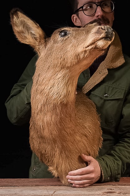 Taxidermy White-Tailed Deer Shoulder Mount: **NOTE: Any shipping quotes provided on this screen are provided by Live Auctioneers. For an in-house shipping quote on this lot, please reach out to us at rockauctiongallery@gmail.com.** 