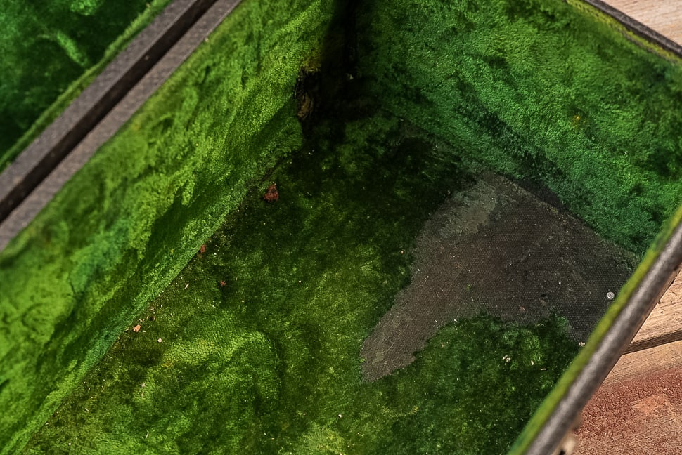 Sample Auto Trunk Case by A.E. Nelson Mfg. Co. - 7