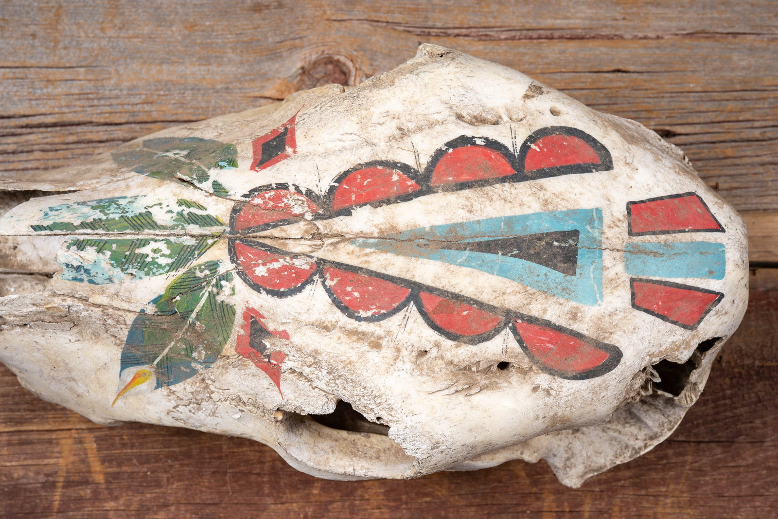 Painted Cattle Skull Decor - 5