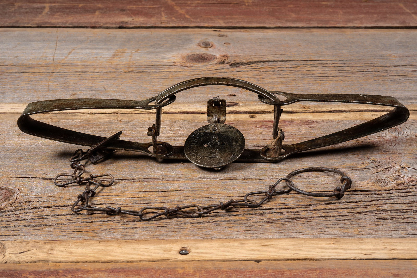 Triumph No. 3 Animal Trap (1 of 6)