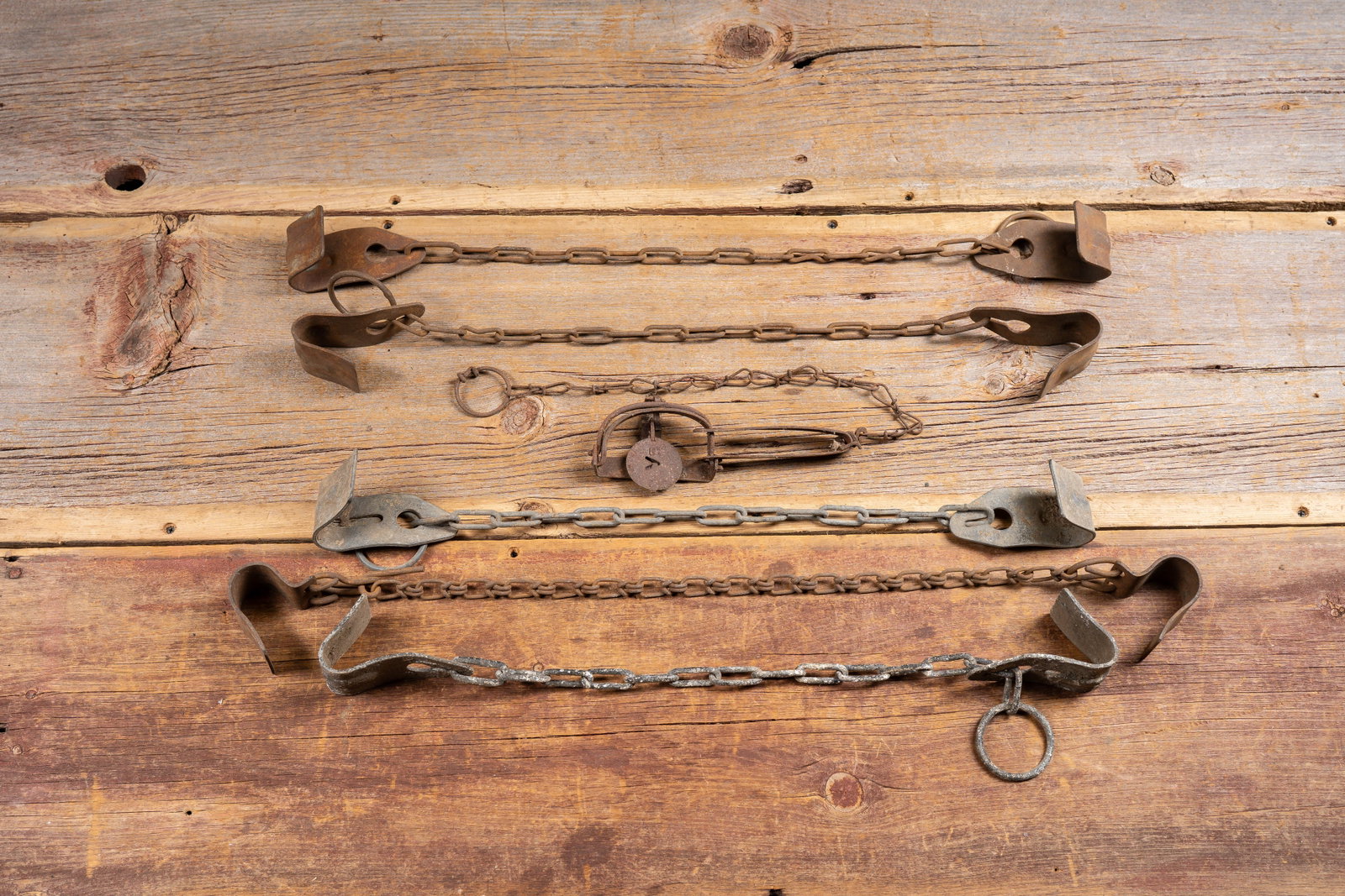 Antique Cow Hobbles with Animal Trap (1 of 6)