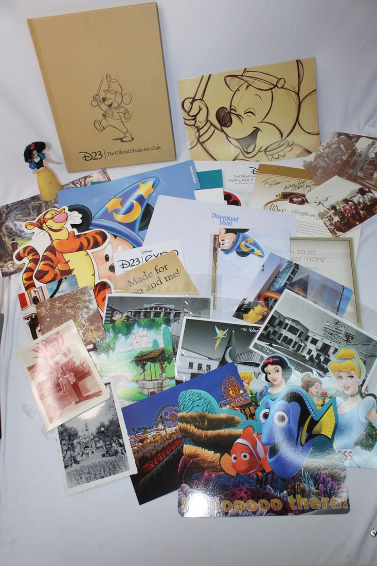 Large Lot of Disney Pamphlets and Brochures (1 of 11)