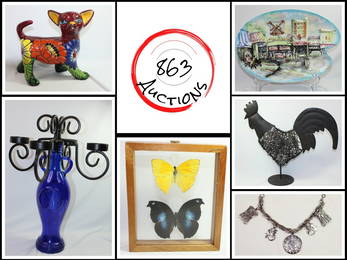 Welcome to 863Auctions
