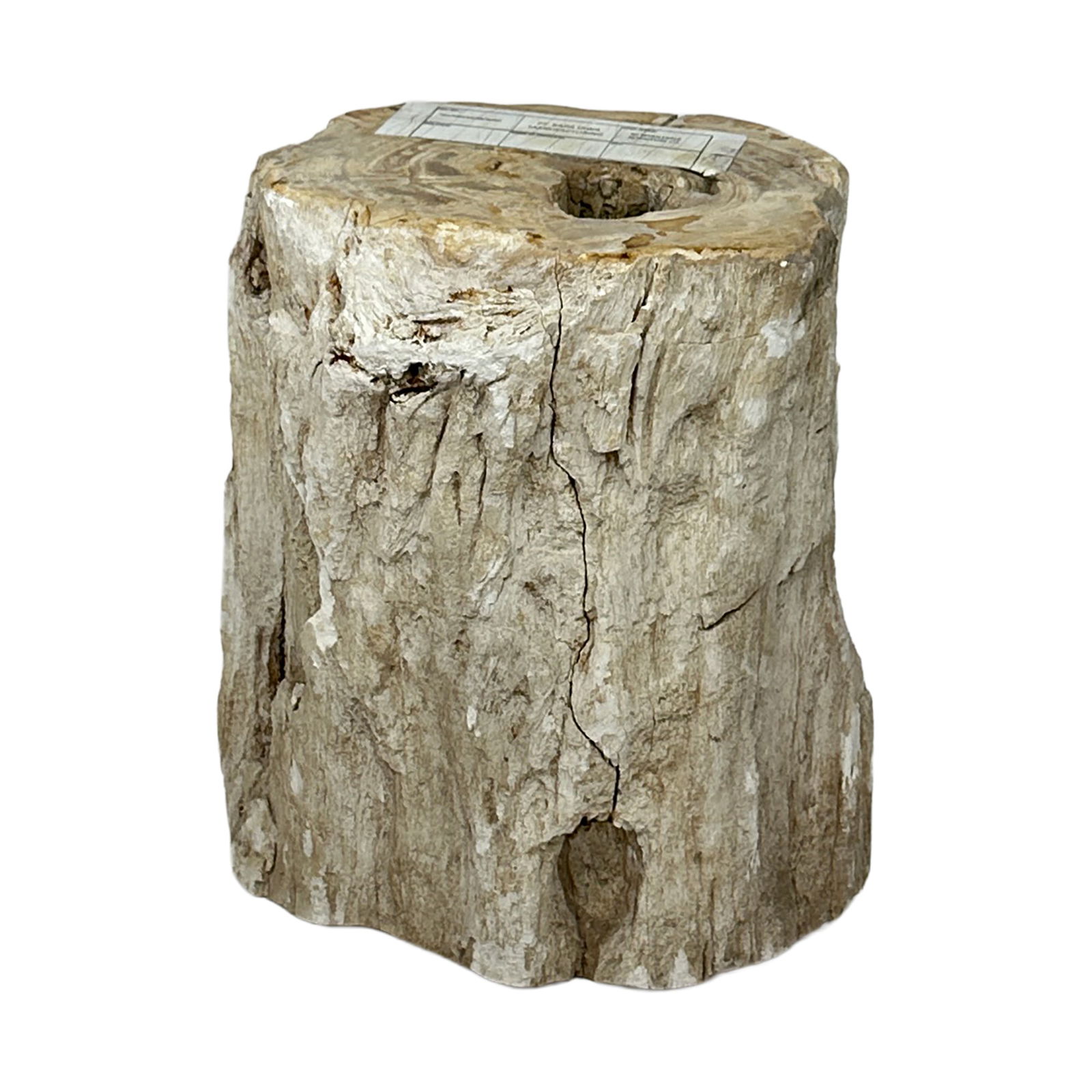 Petrified Wood Stump: Maker: Organic Modernism Title: Petrified Wood Stump Style: Mid-Century Modern, Contemporary Design Description: A striking piece of natural petrified wood stump with raw, organic edges and a beautifu