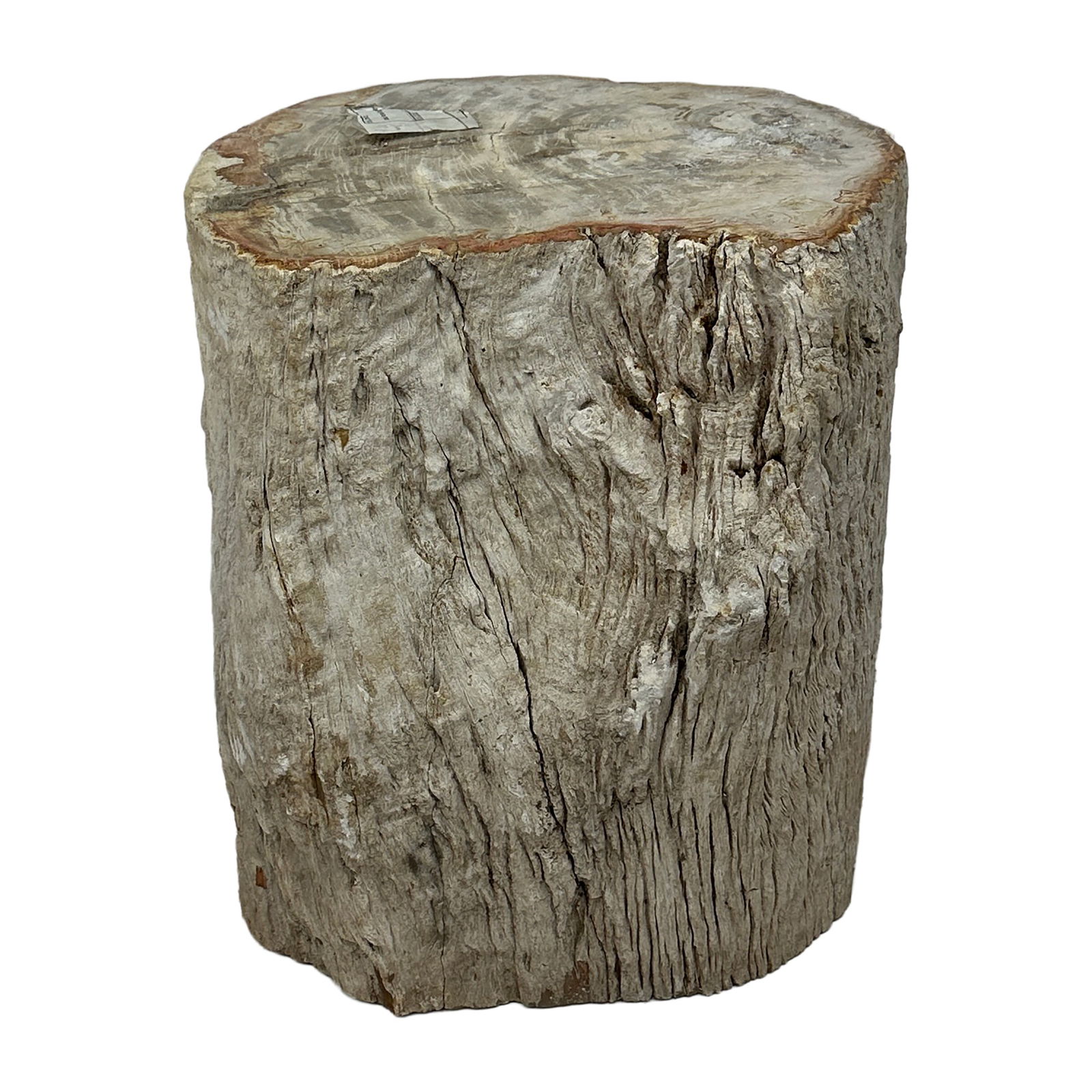Petrified Wood Stump: Maker: Organic Modernism Title: Petrified Wood Stump Style: Mid-Century Modern, Contemporary Design Description: A striking piece of natural petrified wood stump with raw, organic edges and a beautifu