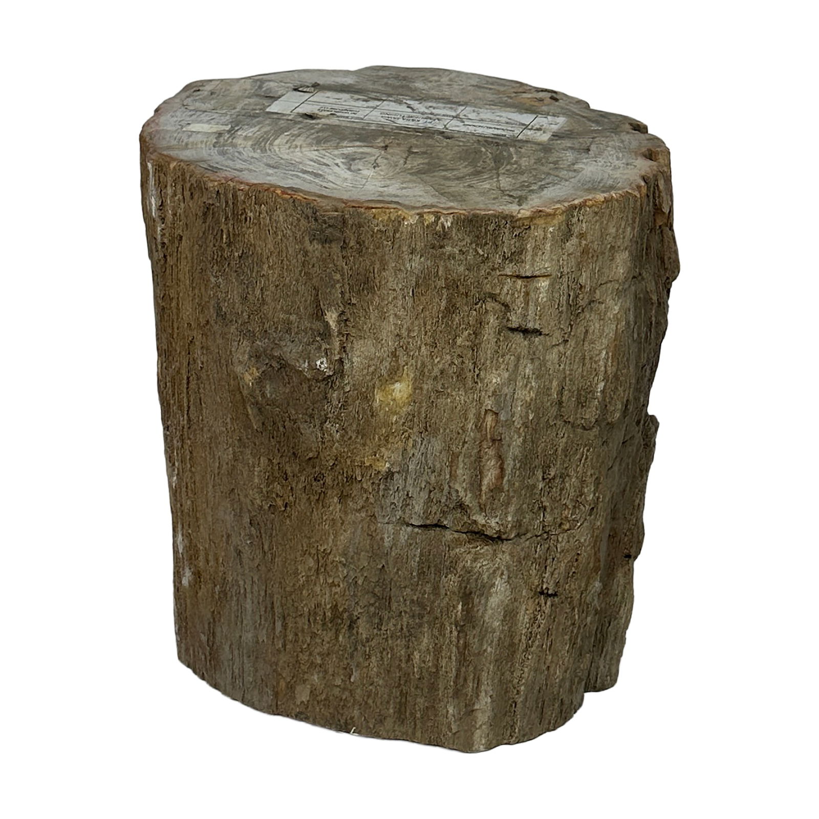 Petrified Wood Stump: Maker: Organic Modernism Title: Petrified Wood Stump Style: Mid-Century Modern, Contemporary Design Description: A striking piece of natural petrified wood stump with raw, organic edges and a beautifu