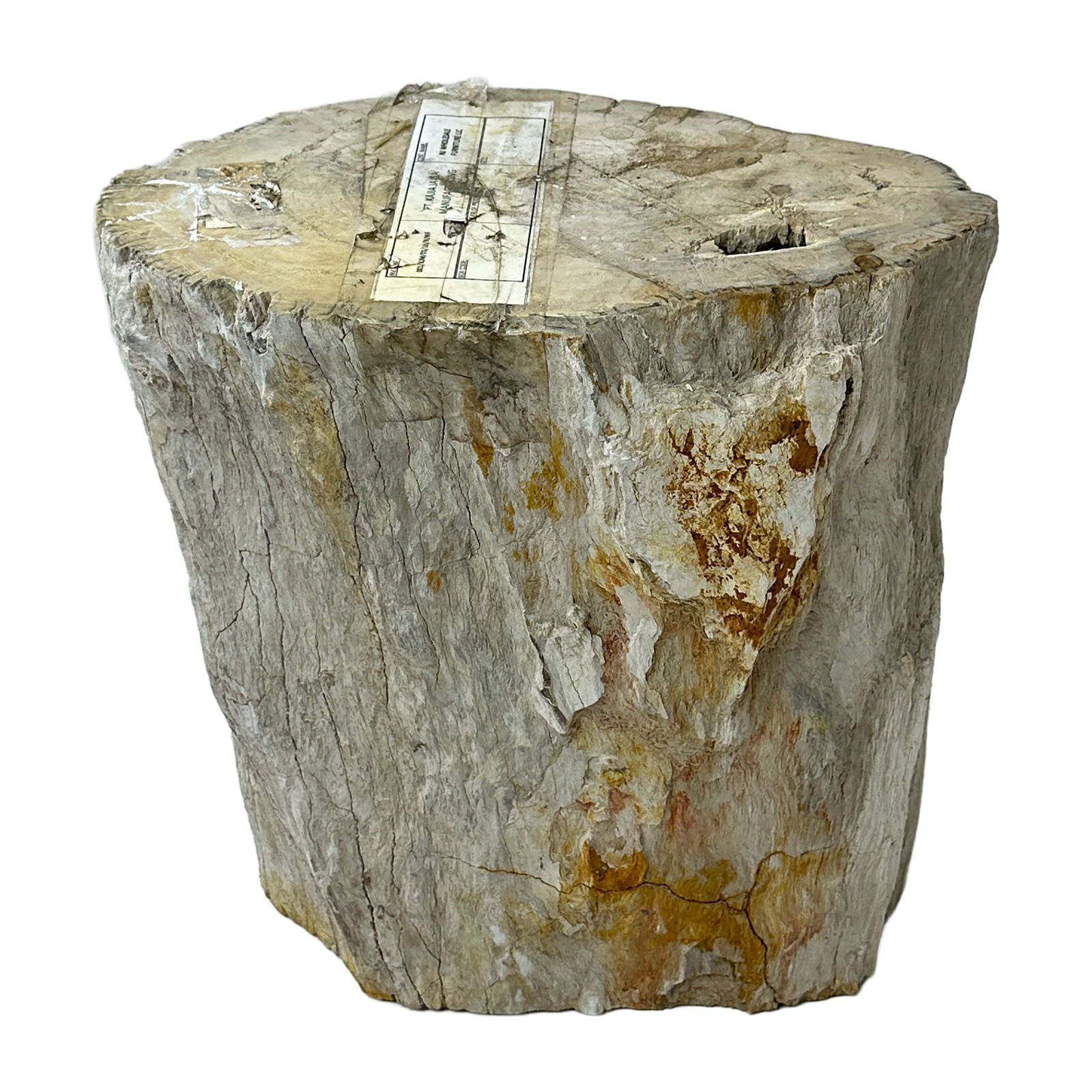 Petrified Wood Stump: Maker: Organic Modernism Title: Petrified Wood Stump Style: Mid-Century Modern, Contemporary Design Description: A striking piece of natural petrified wood stump with raw, organic edges and a beautifu
