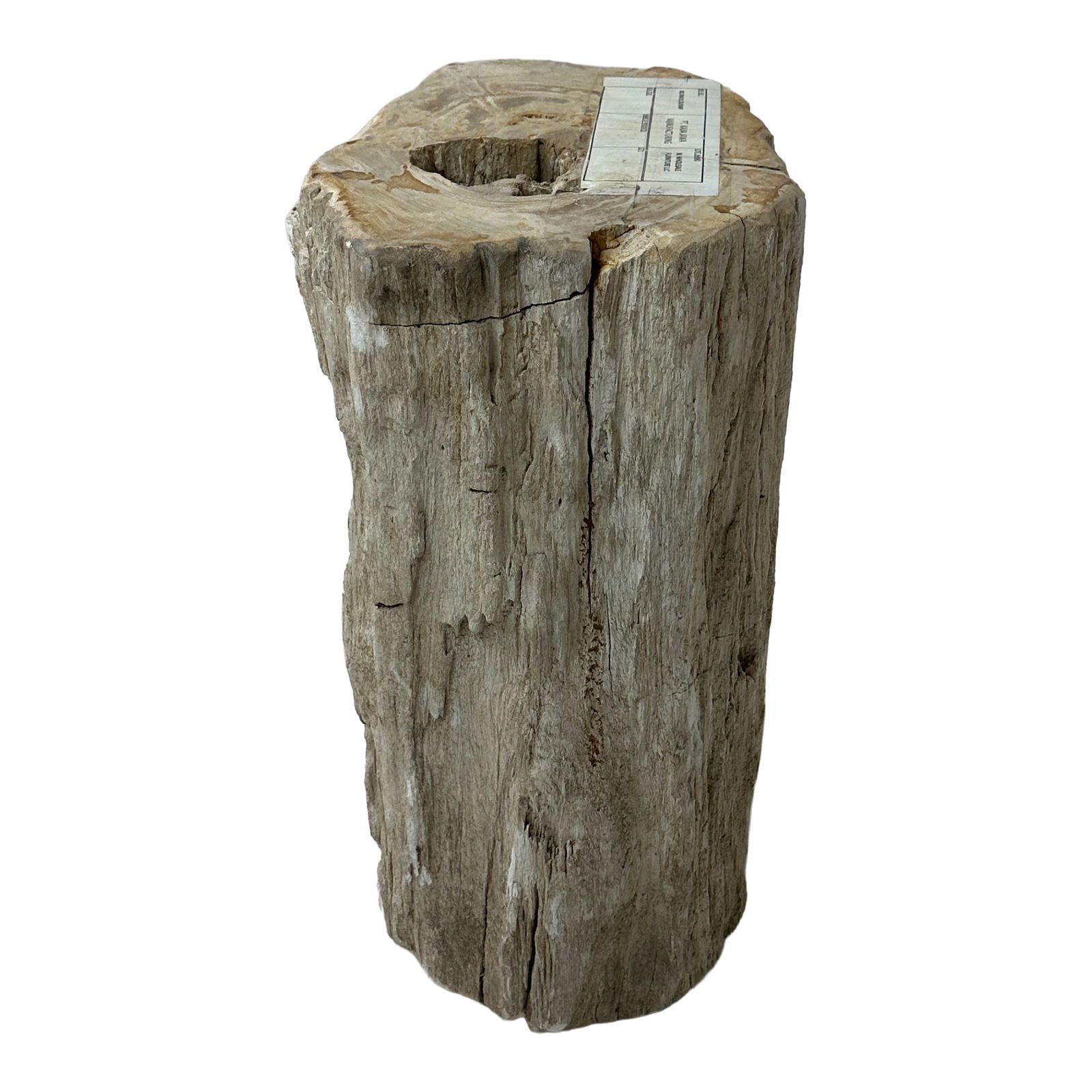 Petrified Wood Stump: Maker: Organic Modernism Title: Petrified Wood Stump Style: Mid-Century Modern, Contemporary Design Description: A striking piece of natural petrified wood stump with raw, organic edges and a beautifu
