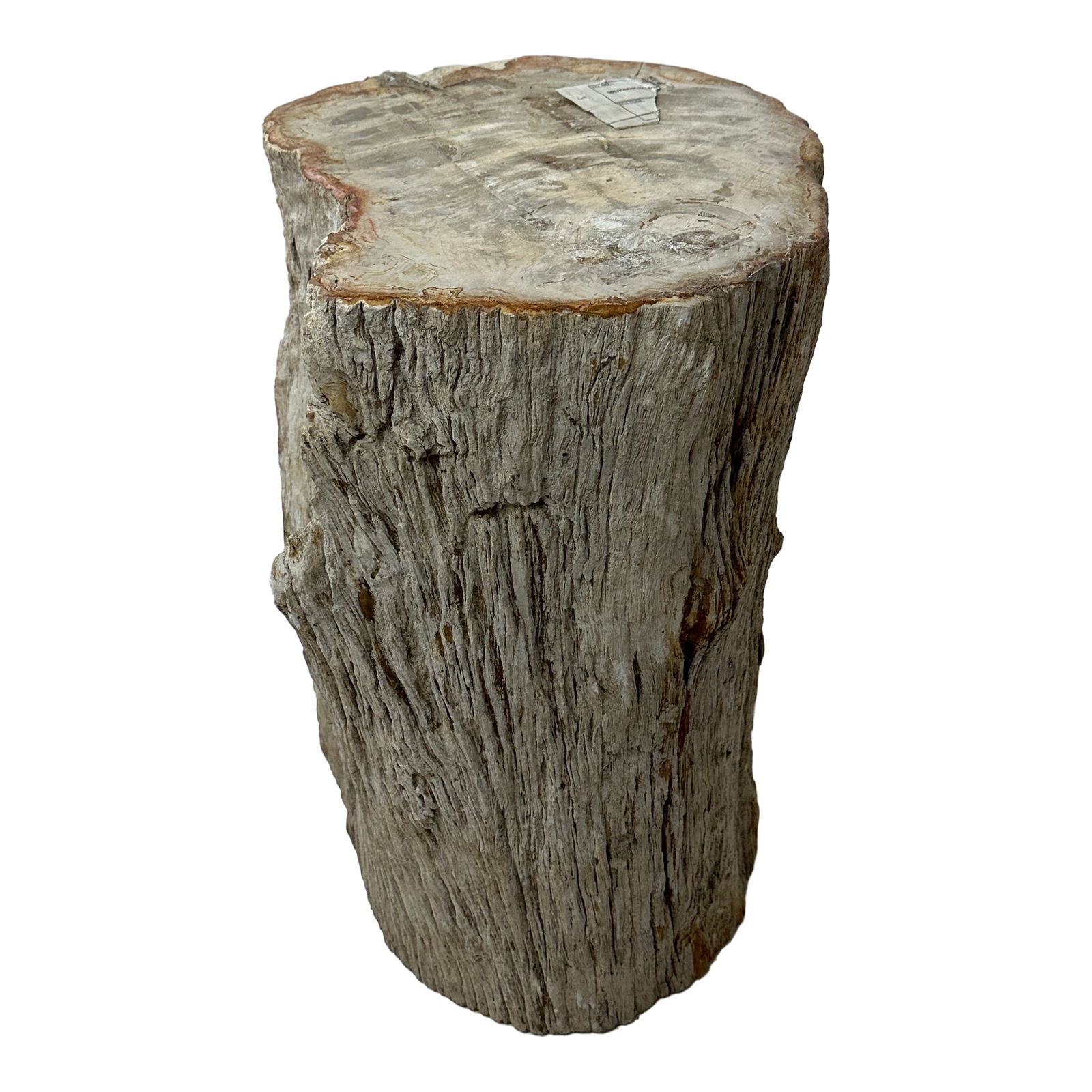 Petrified Wood Stump: Maker: Organic Modernism Title: Petrified Wood Stump Style: Mid-Century Modern, Contemporary Design Description: A striking piece of natural petrified wood stump with raw, organic edges and a beautifu