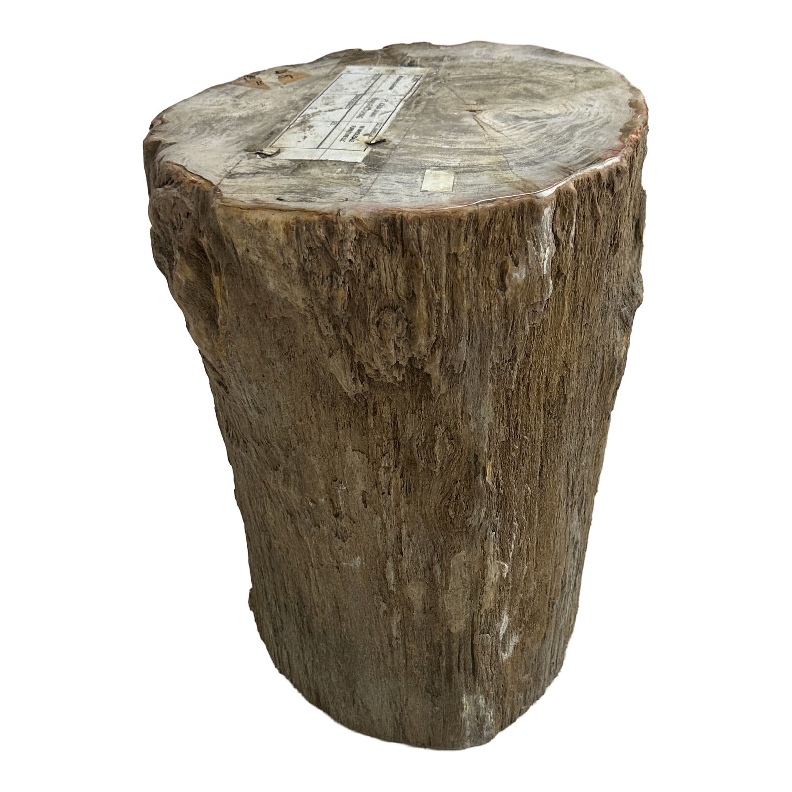 Petrified Wood Stump: Maker: Organic Modernism Title: Petrified Wood Stump Style: Mid-Century Modern, Contemporary Design Description: A striking piece of natural petrified wood stump with raw, organic edges and a beautifu