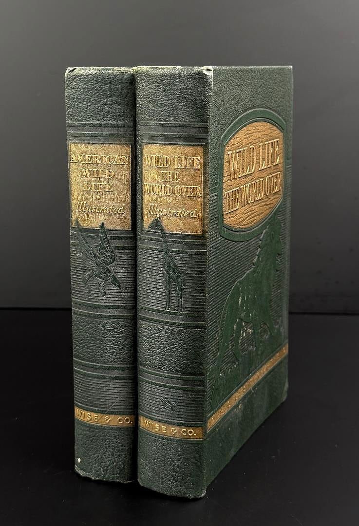 American Wild Life Wild Life the World Over: 1947