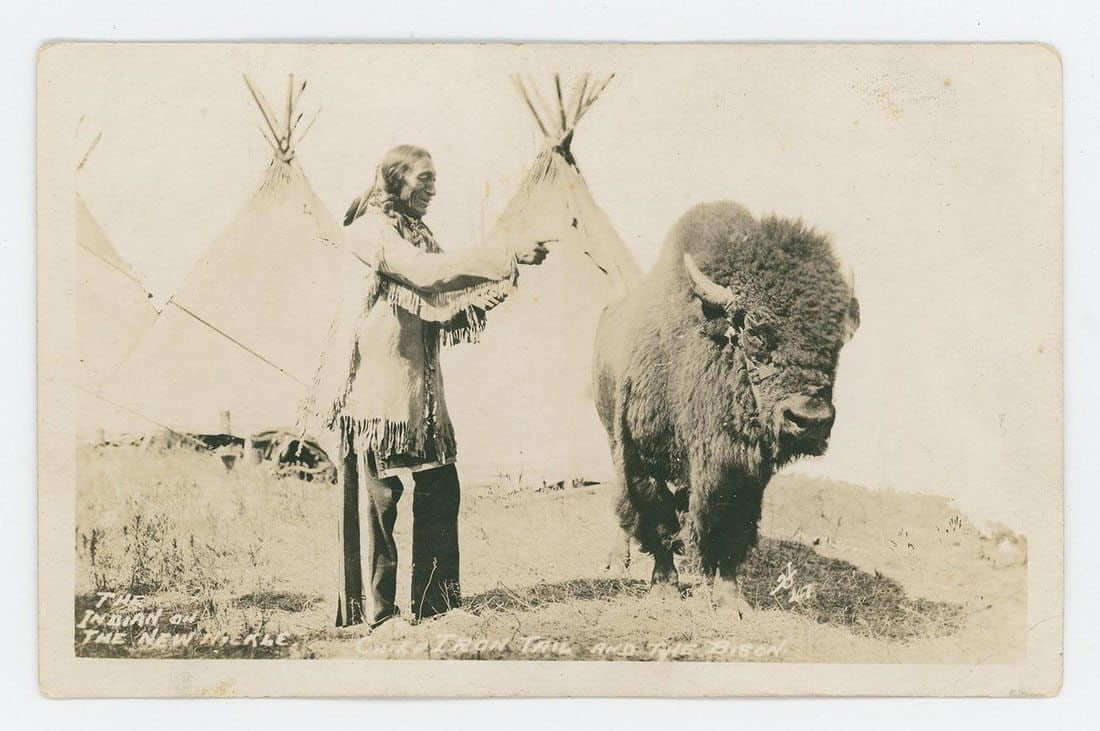 Chief Iron Tail and the Bison RPPC Postcard: Nice image.