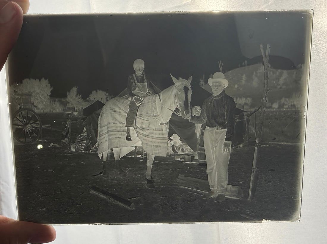 Sitting Bull's Horse Glass Photo Negative: 5" by 7". Found with a large number of sitting bull negatives, unidentified but attributed to Sitting Bull.