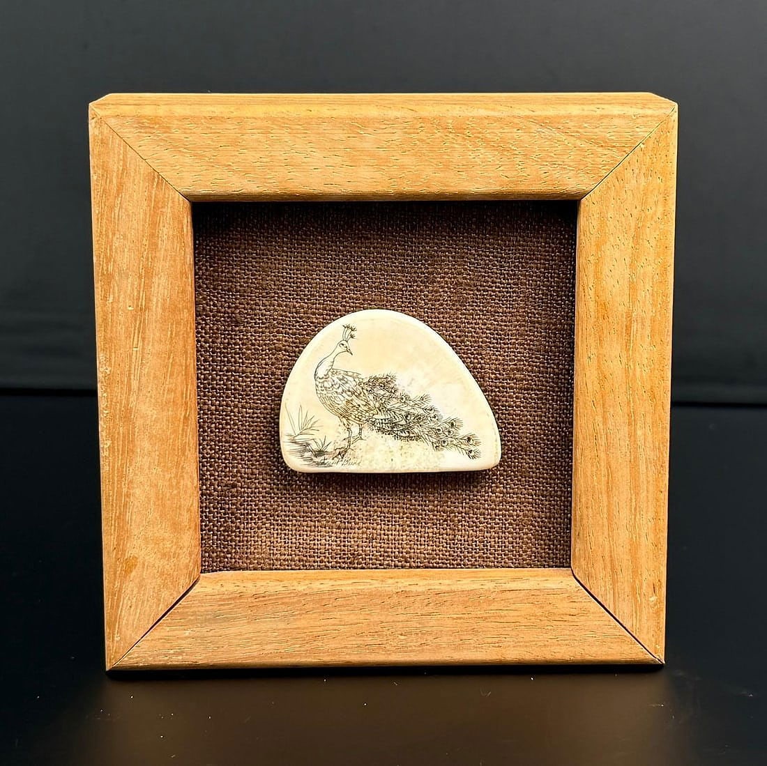 Alaskan Inuit Eskimo Scrimshaw Ivory Peacock: COA from Captain Budd Hathaway. Measures 4 1/2" by 4 1/2" framed. This item cannot be shipped to Oregon, California, Hawaii, New York, New Jersey, Internationally, or any other state that prohibits.