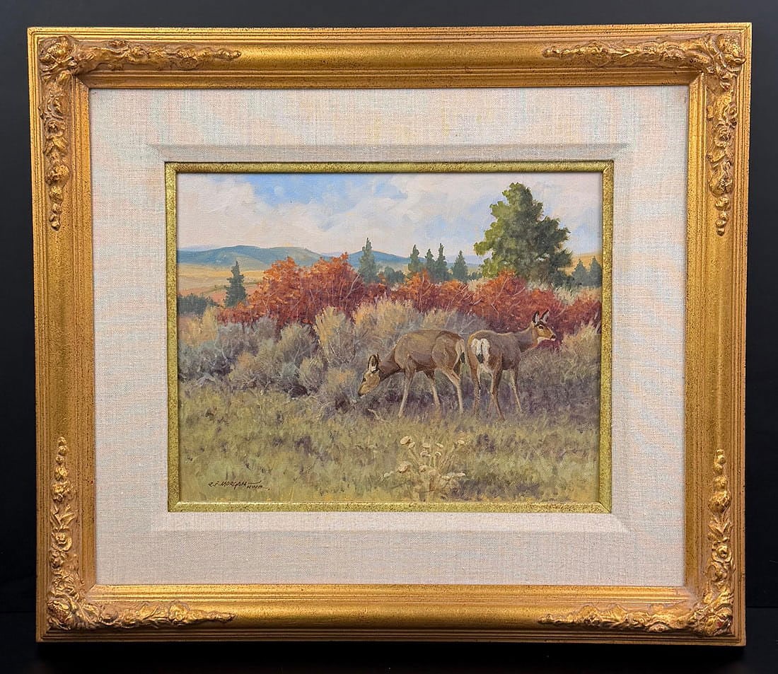 Robert Morgan Montana Mule Deer Painting: Title is Montana Mule Deer. Oil on canvas. Measures 14" by 11" unframed. 23" by 20" framed. Robert F. Morgan (1929 - 2015) was active/lived in Montana. Robert Morgan is known for Genre-Indian, histori