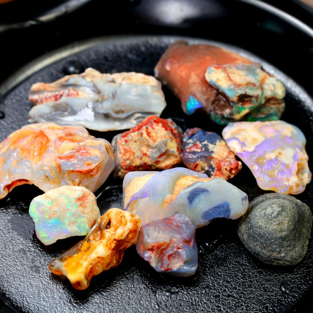 Group of Rare Opal Fossil Lightning Ridge Fossilized Opal 63.3Ct 23.3x15.5x9.2mm (1 of 4)