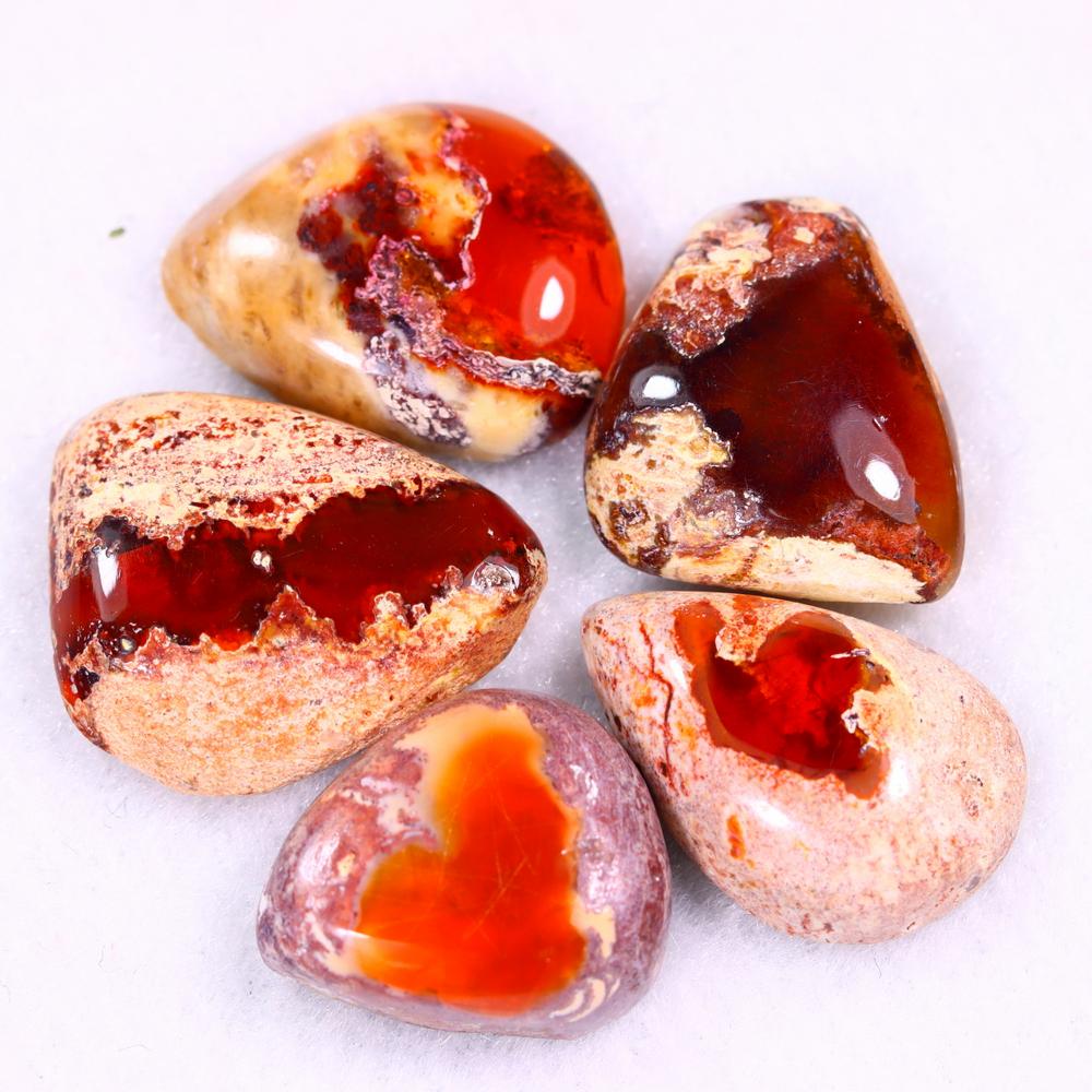 27.70Ct Group of 5 Mexican Fire Opal - Mexican Opal - Cabochon (1 of 3)