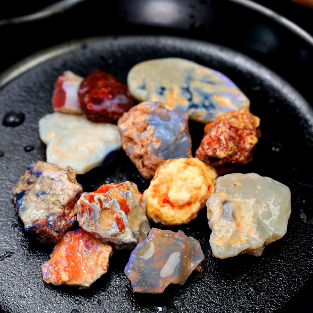 Group of Rare Opal Fossil Lightning Ridge Fossilized Opal 47.80Ct 21x12.3x4.3mm (OOAA3399) (1 of 4)
