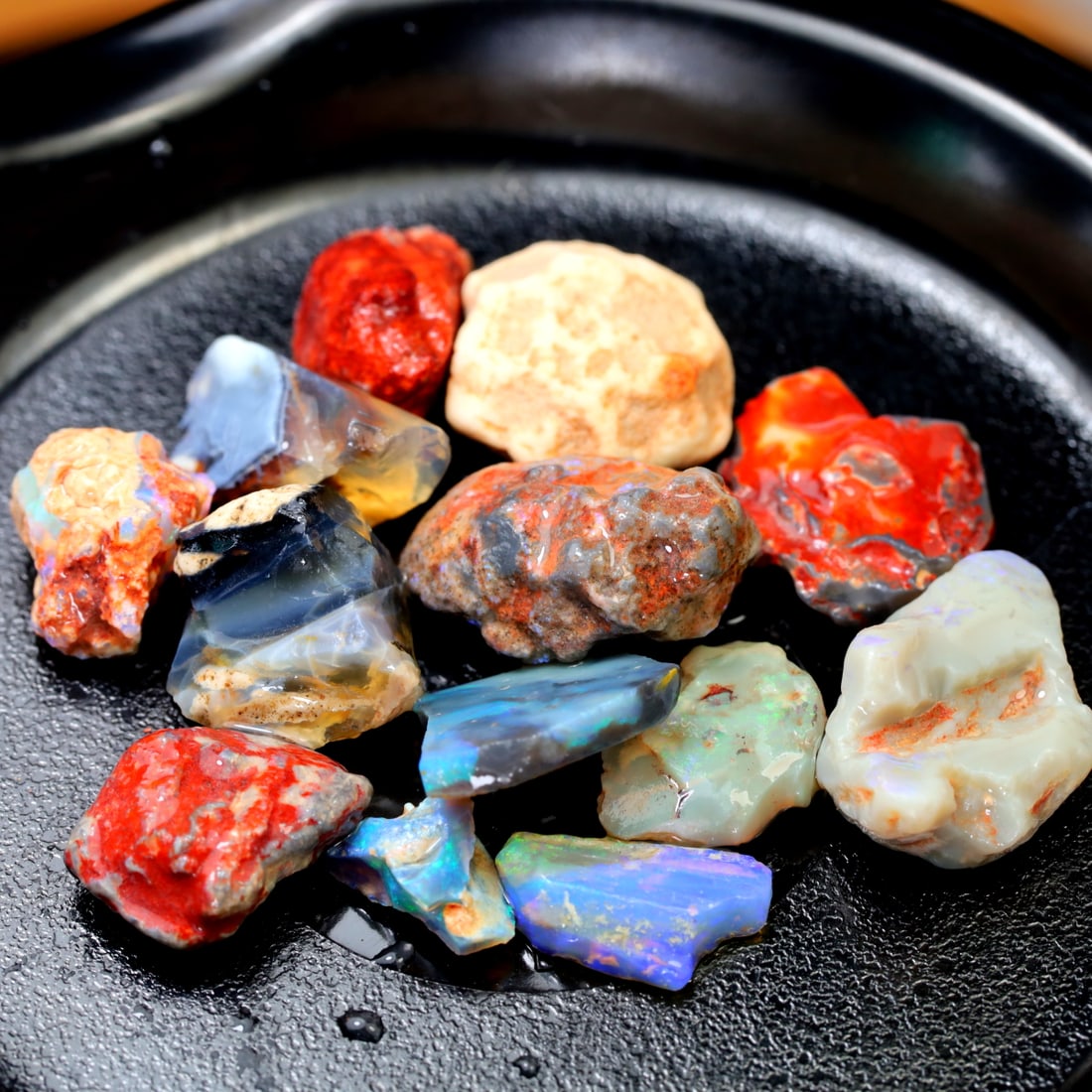 Group of Rare Opal Fossil Lightning Ridge Fossilized Opal 53.12Ct 19x12.6x6.3mm (1 of 4)