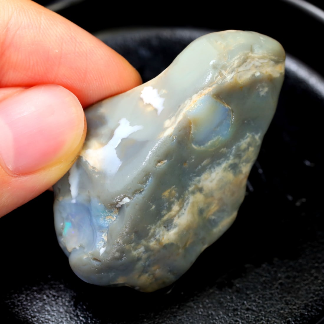Rare Opal Fossil Lightning Ridge Fossilized Opal 86.28Ct 44.7x27x17.5mm: Ksmith Jewels Global Welcome to our auction house, today auction brought to you by Ksmith Jewels Global based in Penang, Malaysia specialize in all kinds of opal and color gemstone both in manufacturi