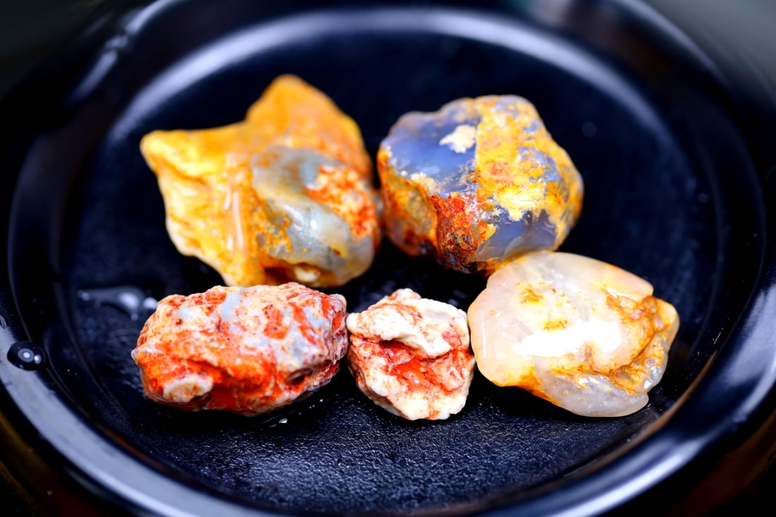 Rare Opal Fossil Lightning Ridge Fossilized Opal 95.41cts 21x19x12MM (1 of 2)