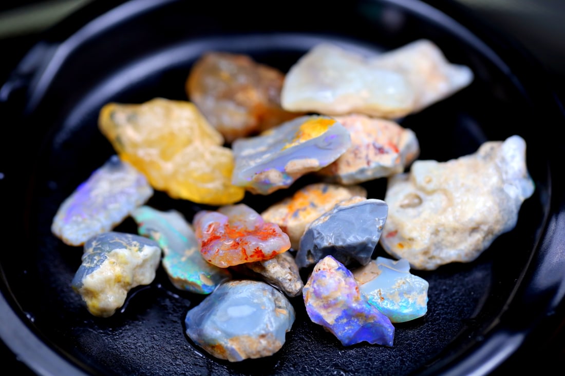 Rare Opal Fossil Lightning Ridge Fossilized Opal 100.51cts 18x13.6x9.5MM (1 of 2)