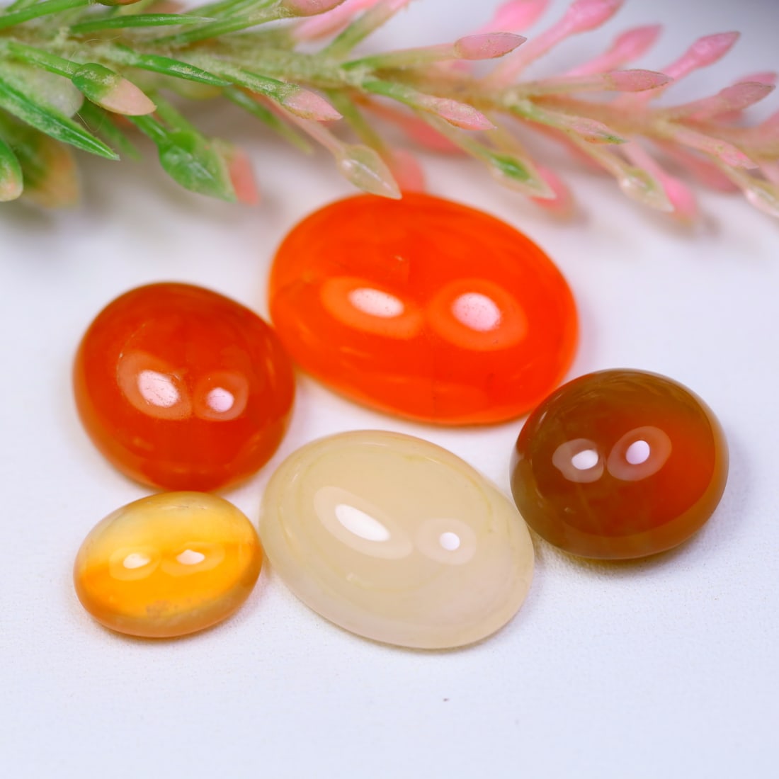 34.07 CT. Natural Unheated 5Pcs Fancy Color Botswana Agate Oval Cabochon OT6669 (1 of 2)