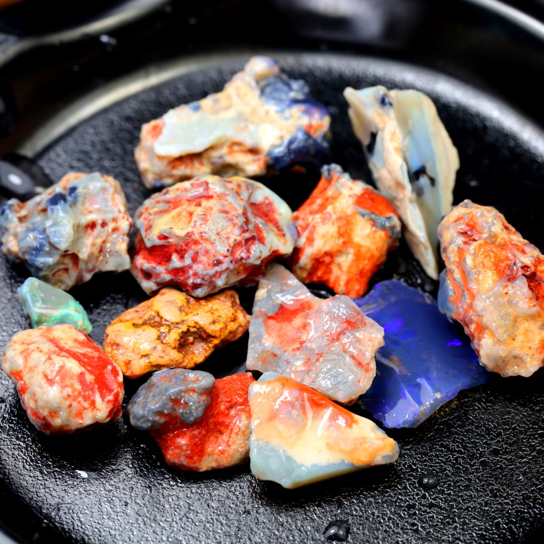 Group of Rare Opal Fossil Lightning Ridge Fossilized Opal 61.18Ct 17.7x12x10.8mm (OOAA3403) (1 of 4)