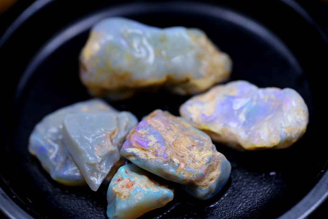 Rare Opal Fossil Lightning Ridge Fossilized Opal 101.21cts 32x16x14MM (1 of 2)