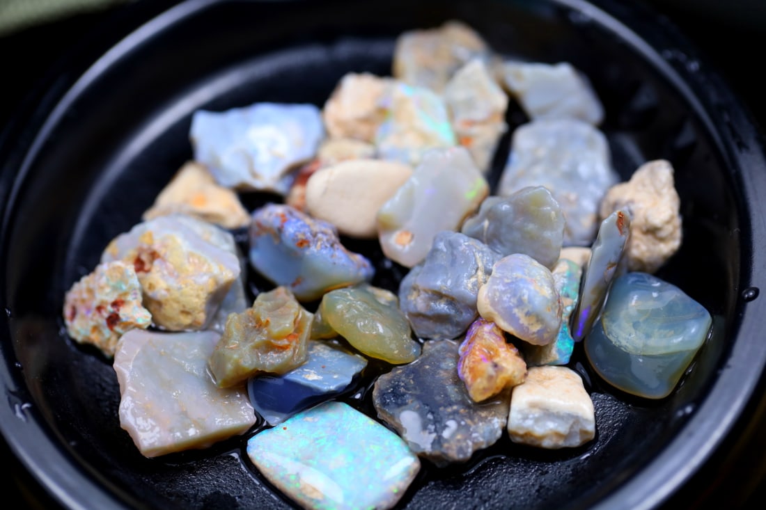 Rare Opal Fossil Lightning Ridge Fossilized Opal 100.18cts 16.6x12x4.2MM (1 of 2)