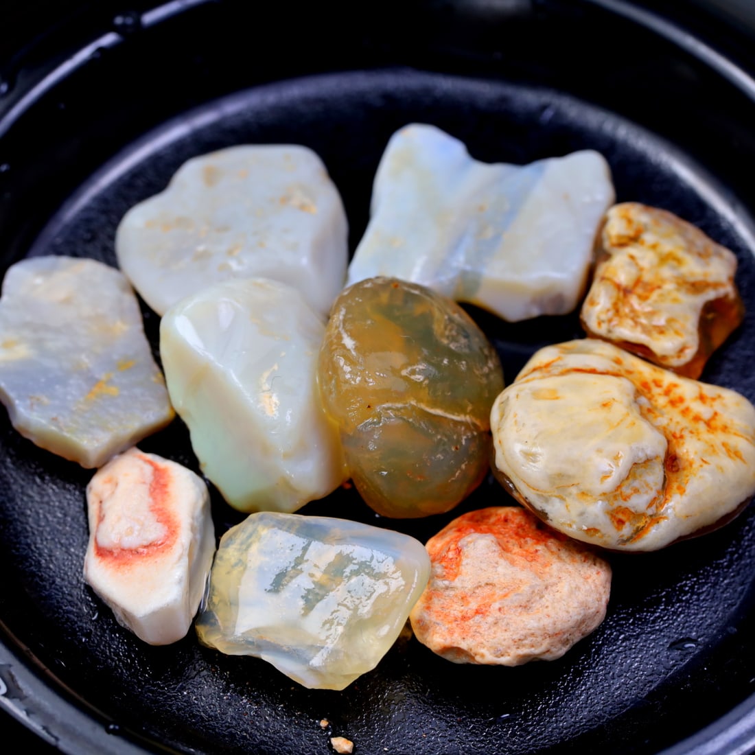 Group of Rare Opal Fossil Lightning Ridge Fossilized Opal 109.74Ct 21.4x20.3x9mm (OOAA4793): Ksmith Jewels Global Welcome to our auction house, today auction brought to you by Ksmith Jewels Global based in Penang, Malaysia specialize in all kinds of opal and color gemstone both in manufacturi