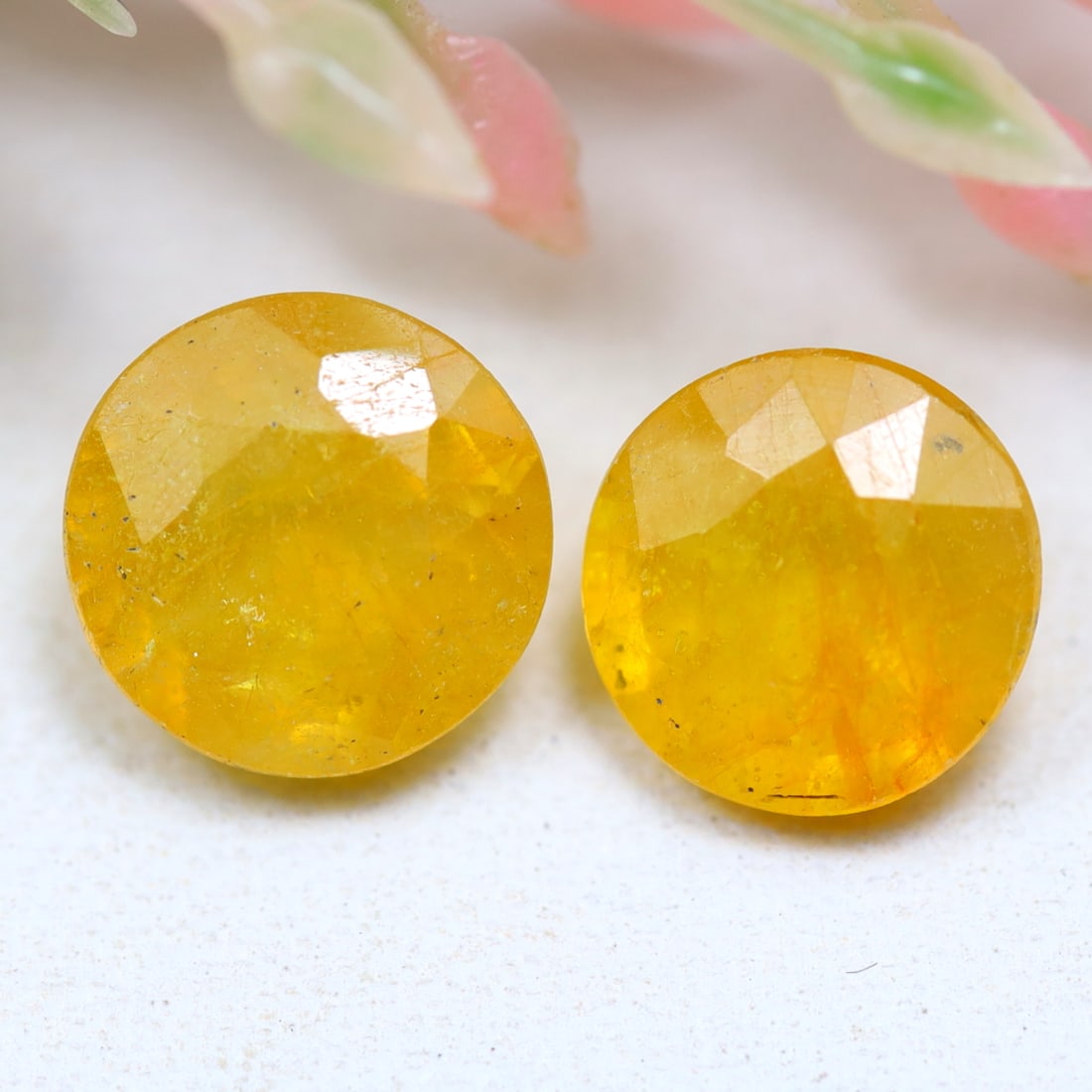 Yellow Sapphire 2.95Ct Natural Round Shape Yellow Sapphire Pair (1 of 2)