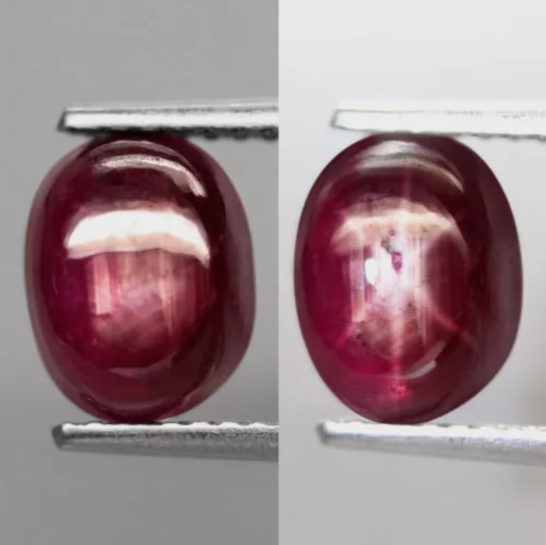 Star Ruby 2.84Ct Natural Mozambique 6 Rays Star Ruby (1 of 1)