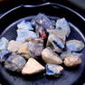 90.96Ct Natural Rare Opal Fossil Lightning Ridge Fossilized Opal 17.3x8.1x7.4 (OOAA4794)