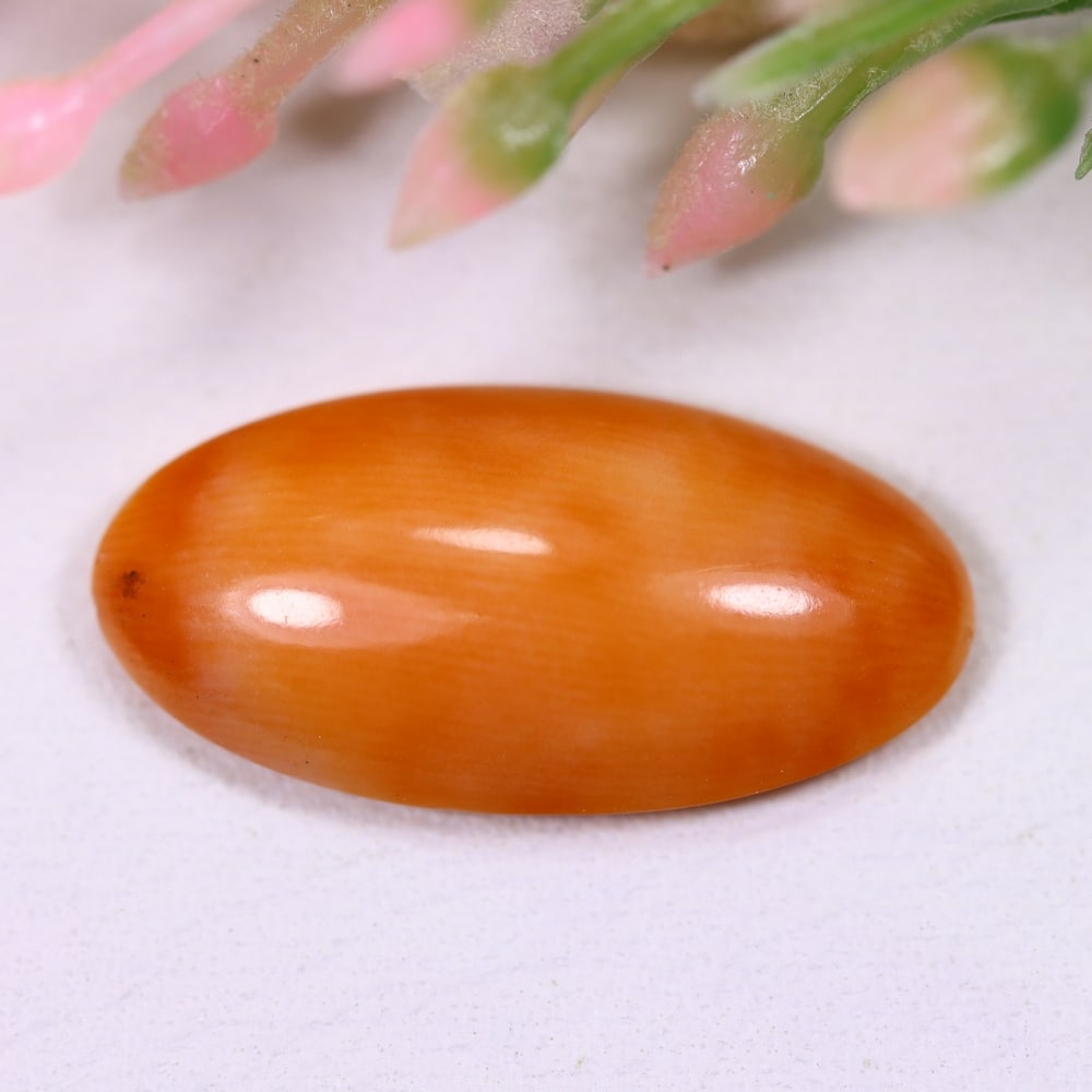 4.78cts Mediterranean Coral - Cabochon Polished: Ksmith Jewels Global Welcome to our auction house, today auction brought to you by Ksmith Jewels Global based in Penang, Malaysia specialize in all kinds of opal and color gemstone both in manufacturi