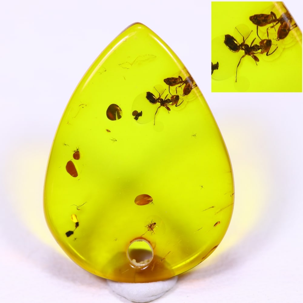 1.73cts Natural Million Year Old Baltic Insect Amber, 16x12mm: Ksmith Jewels Global Welcome to our auction house, today auction brought to you by Ksmith Jewels Global based in Penang, Malaysia specialize in all kinds of opal and color gemstone both in manufacturi