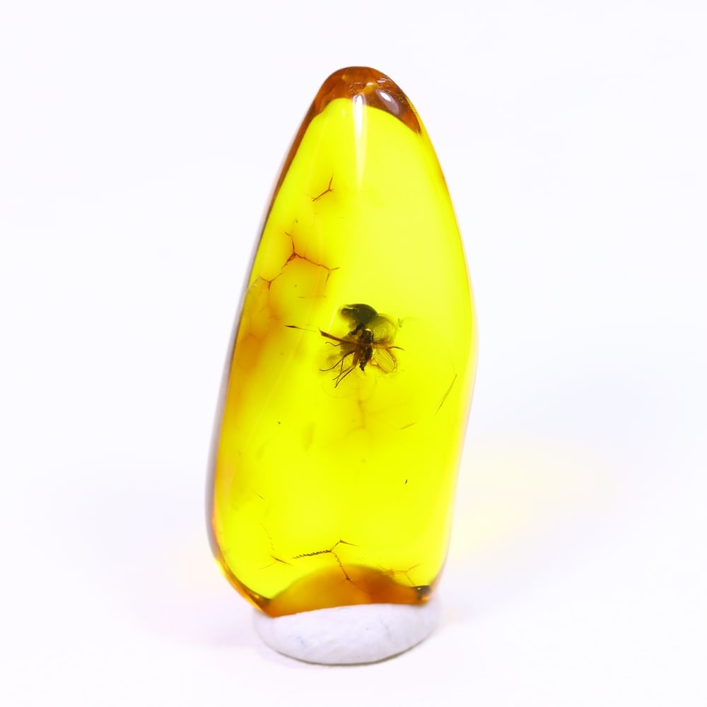 3.69cts Natural Million Year Old Baltic Insect Amber, 20x9mm: Ksmith Jewels Global Welcome to our auction house, today auction brought to you by Ksmith Jewels Global based in Penang, Malaysia specialize in all kinds of opal and color gemstone both in manufacturi