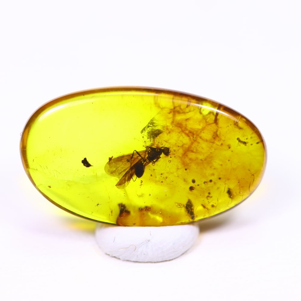 2.16cts Natural Million Year Old Baltic Insect Amber, 17x9mm: Ksmith Jewels Global Welcome to our auction house, today auction brought to you by Ksmith Jewels Global based in Penang, Malaysia specialize in all kinds of opal and color gemstone both in manufacturi