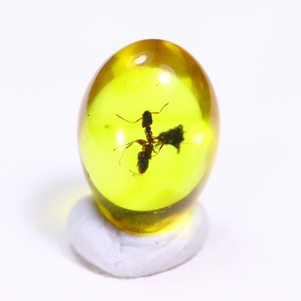1.36cts Natural Million Year Old Baltic Insect Amber, 9x7mm (1 of 5)