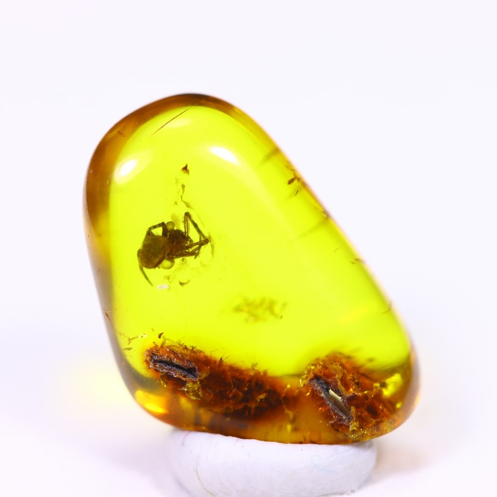 1.47cts Natural Million Year Old Baltic Insect Amber, 11x8mm: Ksmith Jewels Global Welcome to our auction house, today auction brought to you by Ksmith Jewels Global based in Penang, Malaysia specialize in all kinds of opal and color gemstone both in manufacturi