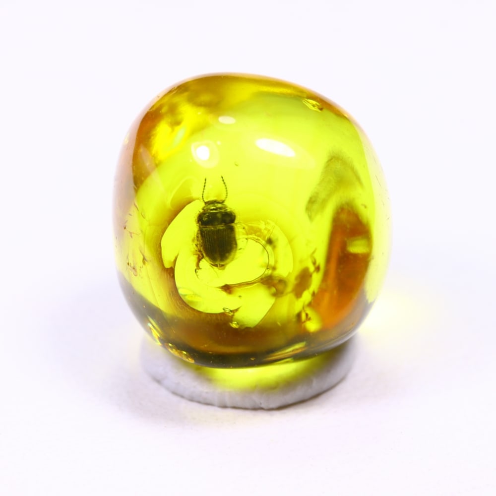 3.51cts Natural Million Year Old Baltic Insect Amber, 11x10mm: Ksmith Jewels Global Welcome to our auction house, today auction brought to you by Ksmith Jewels Global based in Penang, Malaysia specialize in all kinds of opal and color gemstone both in manufacturi