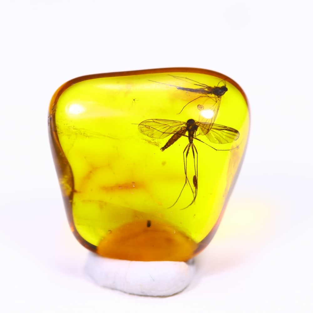 1.70cts Natural Million Year Old Baltic Insect Amber, 11x11mm: Ksmith Jewels Global Welcome to our auction house, today auction brought to you by Ksmith Jewels Global based in Penang, Malaysia specialize in all kinds of opal and color gemstone both in manufacturi
