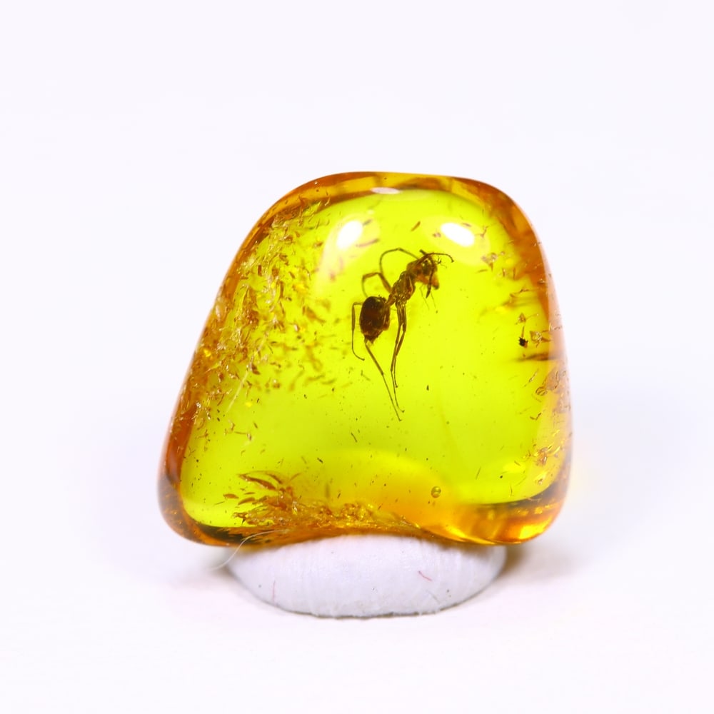 1.52cts Natural Million Year Old Baltic Insect Amber, 10x9mm: Ksmith Jewels Global Welcome to our auction house, today auction brought to you by Ksmith Jewels Global based in Penang, Malaysia specialize in all kinds of opal and color gemstone both in manufacturi